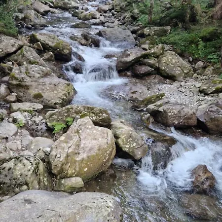 Dei Sogni Valtellina Pescegallo Appartamento *