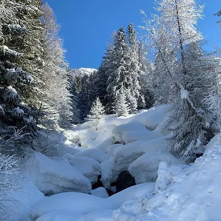 Dei Sogni Valtellina Pescegallo Appartamento *